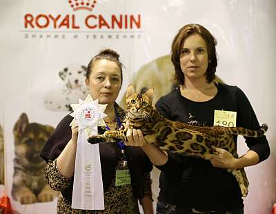 �������� ����� 18-19 ������� 2014 WCF-����� 3-180-169A3122 copy.jpg